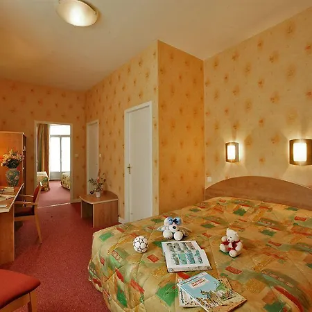 Logis Hotel-restaurant Le Fontarabie Otel 3*