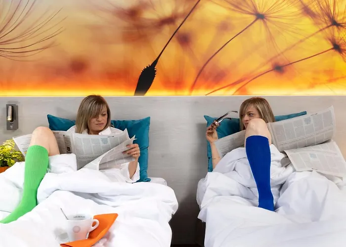 Hotel Logis Hotel-restaurant Le Fontarabie 3*