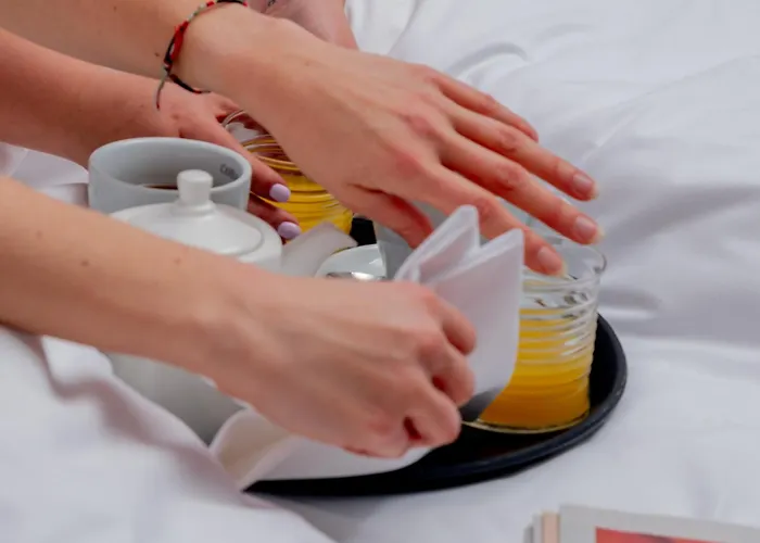 Logis Hotel-restaurant Le Fontarabie 3* Fontenay-le-Comte